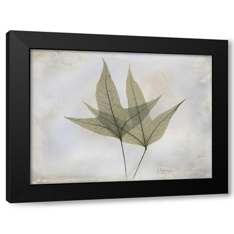 Trident Maple E217 Black Modern Wood Framed Art Print with Double Matting by Koetsier, Albert