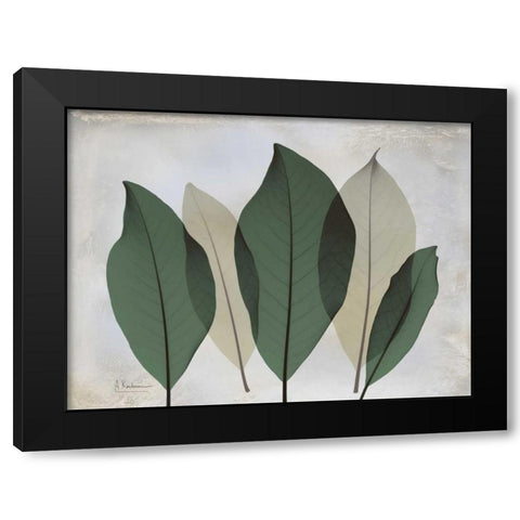 The Grays 3 Black Modern Wood Framed Art Print by Koetsier, Albert