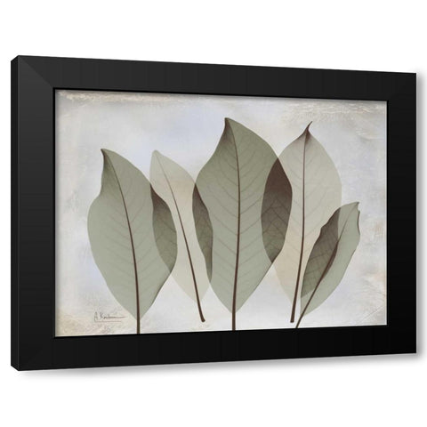 Magnolia Leaf Black Modern Wood Framed Art Print by Koetsier, Albert