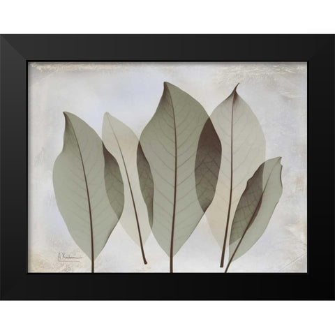 Magnolia Leaf Black Modern Wood Framed Art Print by Koetsier, Albert