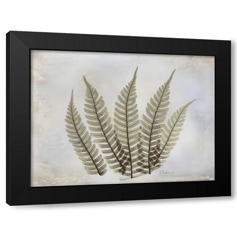 Fern Black Modern Wood Framed Art Print with Double Matting by Koetsier, Albert