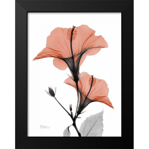 Soft Hibiscus Black Modern Wood Framed Art Print by Koetsier, Albert