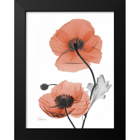 Soft Poppy Black Modern Wood Framed Art Print by Koetsier, Albert