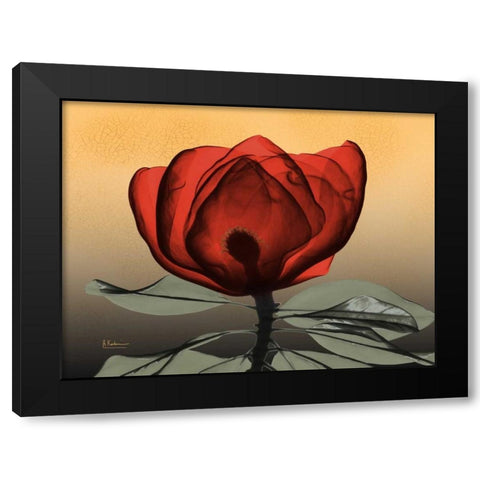 Hot Magnolia 2 Black Modern Wood Framed Art Print by Koetsier, Albert