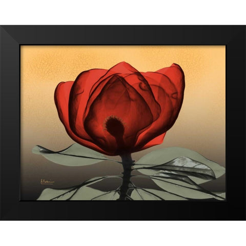 Hot Magnolia 2 Black Modern Wood Framed Art Print by Koetsier, Albert