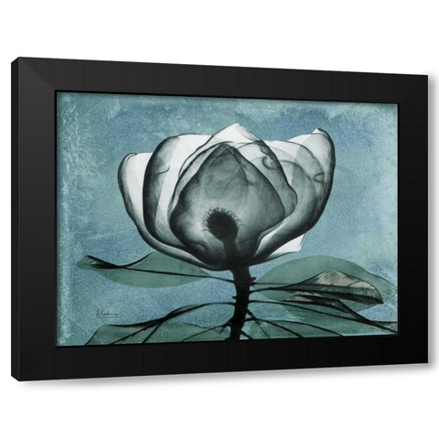 Magnolia Blues 2 Black Modern Wood Framed Art Print with Double Matting by Koetsier, Albert