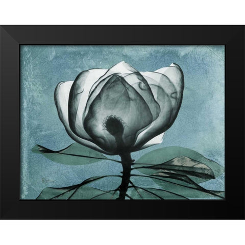 Magnolia Blues 2 Black Modern Wood Framed Art Print by Koetsier, Albert