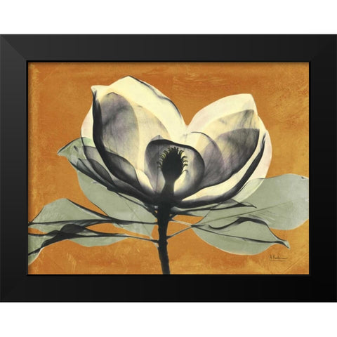 Warm Magnolia 1 Black Modern Wood Framed Art Print by Koetsier, Albert