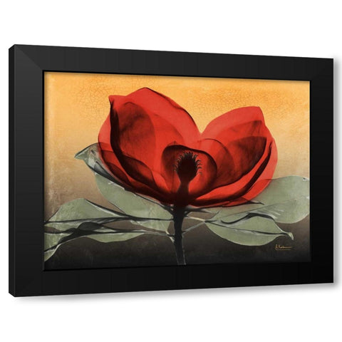 Hot Magnolia 1 Black Modern Wood Framed Art Print with Double Matting by Koetsier, Albert