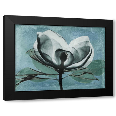 Magnolia Blues 1 Black Modern Wood Framed Art Print with Double Matting by Koetsier, Albert