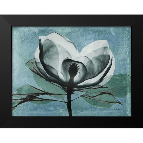 Magnolia Blues 1 Black Modern Wood Framed Art Print by Koetsier, Albert