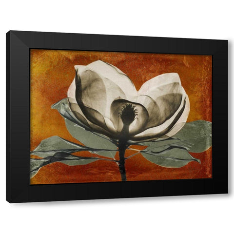 Magnolia Rust 1 Black Modern Wood Framed Art Print with Double Matting by Koetsier, Albert