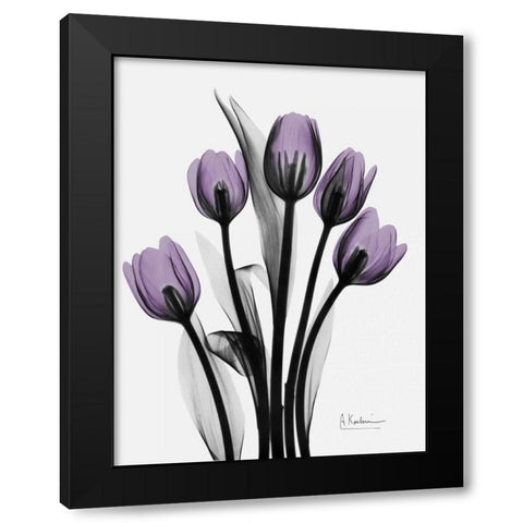 Five Tulips in Purple Black Modern Wood Framed Art Print by Koetsier, Albert