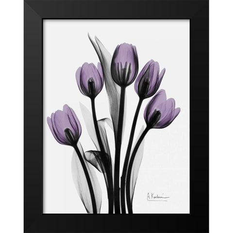 Five Tulips in Purple Black Modern Wood Framed Art Print by Koetsier, Albert