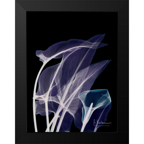 Lily Xray Black Modern Wood Framed Art Print by Koetsier, Albert