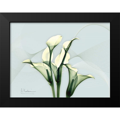 Calla Lily L275 Black Modern Wood Framed Art Print by Koetsier, Albert