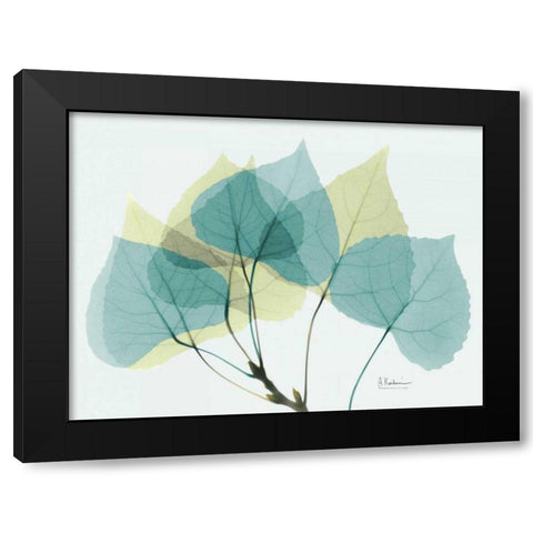 Aspen E143 Black Modern Wood Framed Art Print with Double Matting by Koetsier, Albert