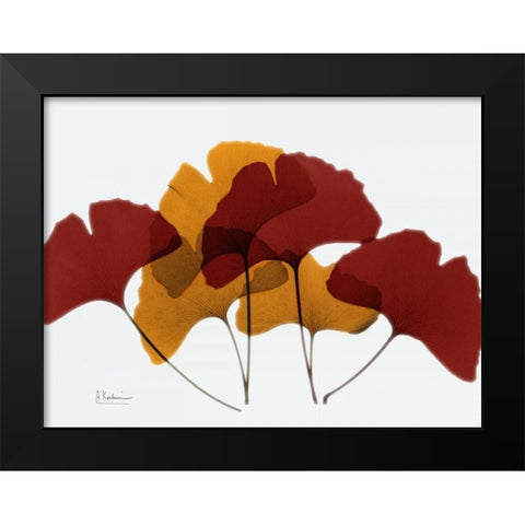 Gingko Fall Black Modern Wood Framed Art Print by Koetsier, Albert