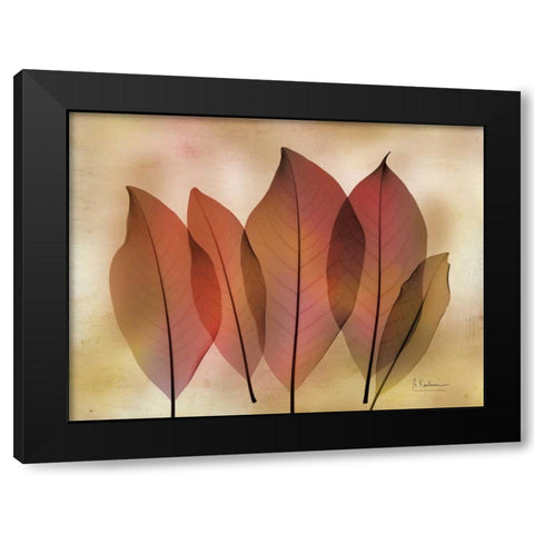 Harvest Light 2 Black Modern Wood Framed Art Print with Double Matting by Koetsier, Albert