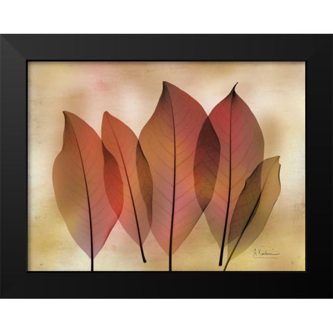 Harvest Light 2 Black Modern Wood Framed Art Print by Koetsier, Albert