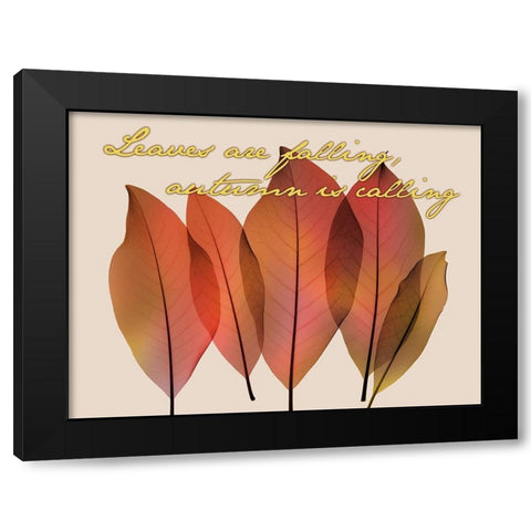Harvest Light 2 Black Modern Wood Framed Art Print with Double Matting by Koetsier, Albert