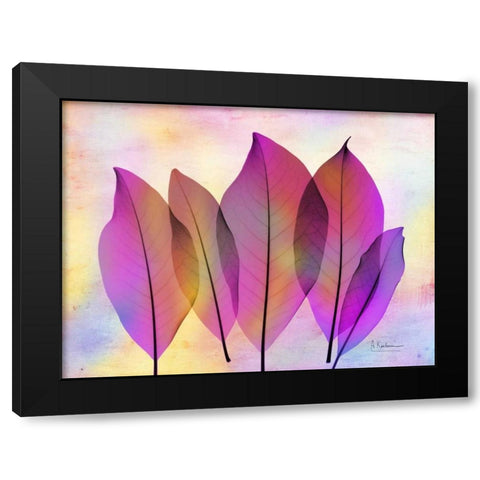 Retroluxed Magnoli Black Modern Wood Framed Art Print with Double Matting by Koetsier, Albert