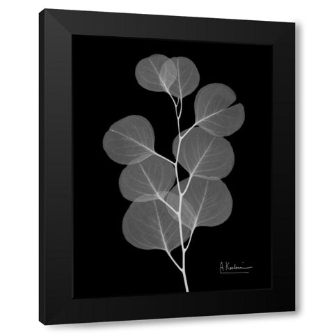 Eucalyptus E196 Black Modern Wood Framed Art Print with Double Matting by Koetsier, Albert