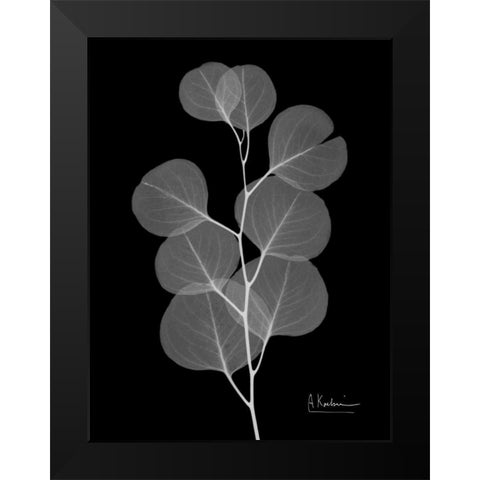 Eucalyptus E196 Black Modern Wood Framed Art Print by Koetsier, Albert