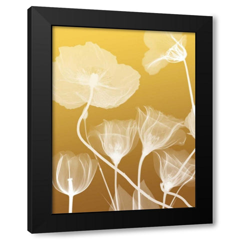 Transparent Flora 1 Black Modern Wood Framed Art Print with Double Matting by Koetsier, Albert