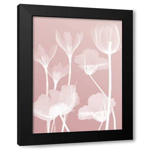 Pink Flora 2  Black Modern Wood Framed Art Print by Koetsier, Albert