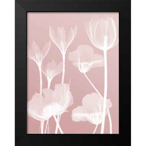 Pink Flora 2  Black Modern Wood Framed Art Print by Koetsier, Albert