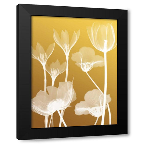 Transparent Flora 2 Black Modern Wood Framed Art Print with Double Matting by Koetsier, Albert