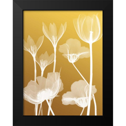 Transparent Flora 2 Black Modern Wood Framed Art Print by Koetsier, Albert