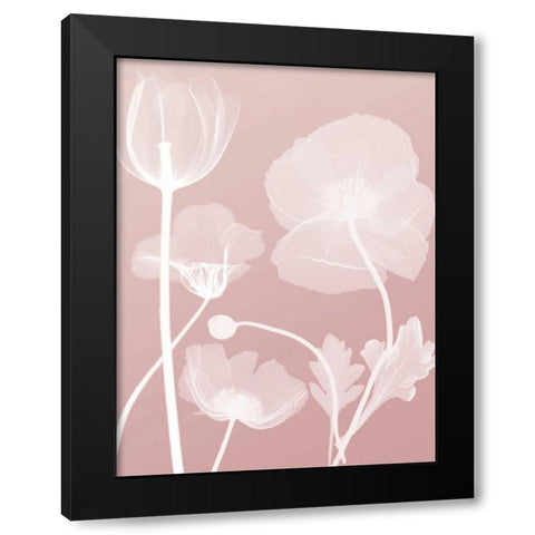 Pink Flora 3 Black Modern Wood Framed Art Print with Double Matting by Koetsier, Albert