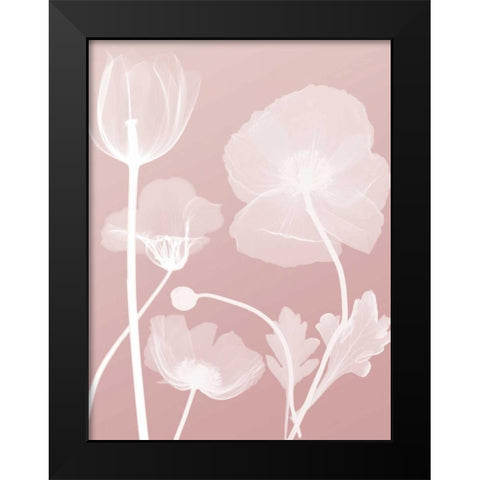 Pink Flora 3 Black Modern Wood Framed Art Print by Koetsier, Albert