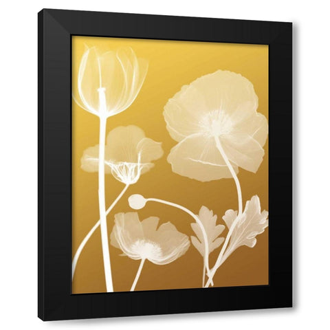 Transparent Flora 3 Black Modern Wood Framed Art Print with Double Matting by Koetsier, Albert