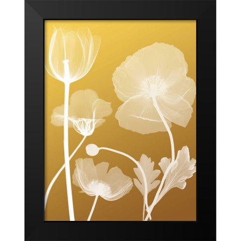 Transparent Flora 3 Black Modern Wood Framed Art Print by Koetsier, Albert