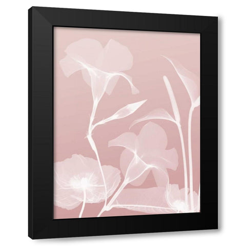 Pink Flora 4 Black Modern Wood Framed Art Print with Double Matting by Koetsier, Albert