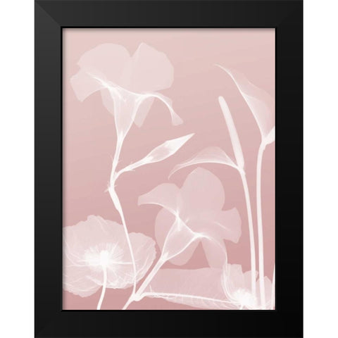 Pink Flora 4 Black Modern Wood Framed Art Print by Koetsier, Albert