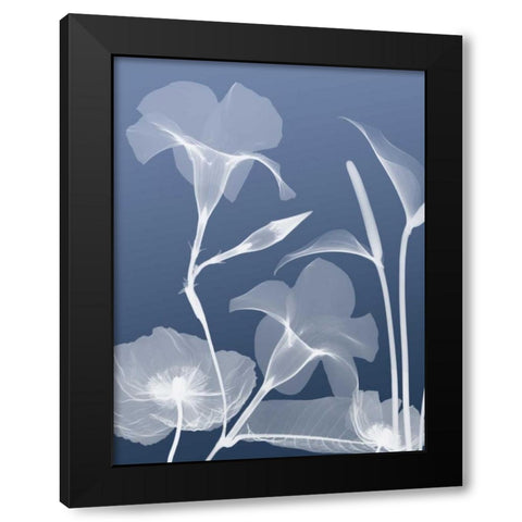 Transparent Flora 4 Black Modern Wood Framed Art Print with Double Matting by Koetsier, Albert