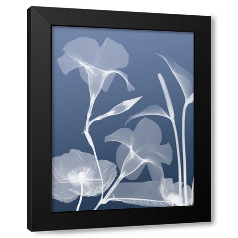 Transparent Flora 4 Black Modern Wood Framed Art Print by Koetsier, Albert