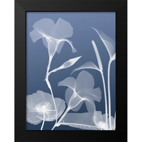 Transparent Flora 4 Black Modern Wood Framed Art Print by Koetsier, Albert