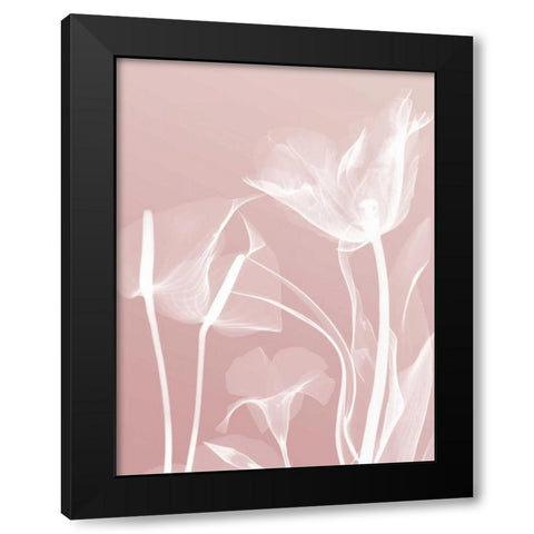 Pink Flora 5 Black Modern Wood Framed Art Print with Double Matting by Koetsier, Albert