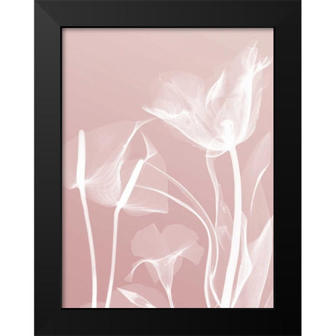 Pink Flora 5 Black Modern Wood Framed Art Print by Koetsier, Albert