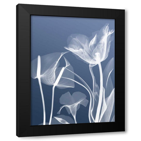 Transparent Flora 5 Black Modern Wood Framed Art Print with Double Matting by Koetsier, Albert