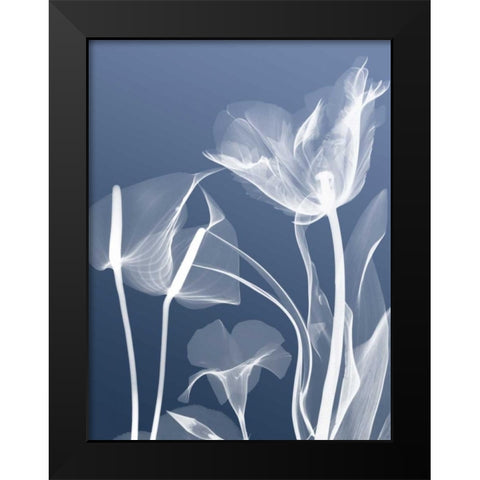 Transparent Flora 5 Black Modern Wood Framed Art Print by Koetsier, Albert