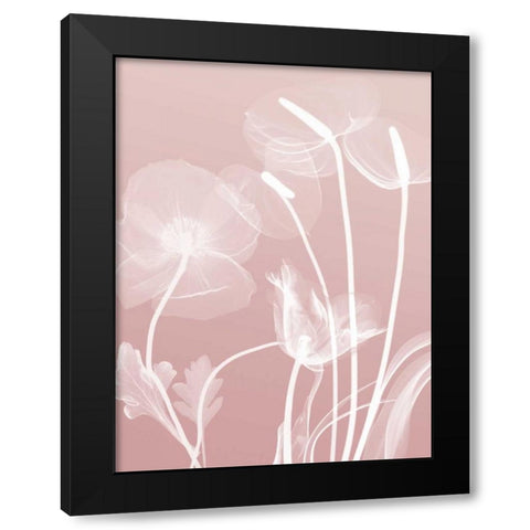 Pink Flora 6 Black Modern Wood Framed Art Print with Double Matting by Koetsier, Albert