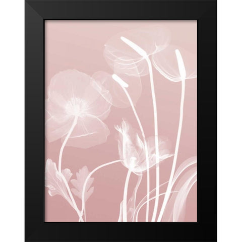 Pink Flora 6 Black Modern Wood Framed Art Print by Koetsier, Albert