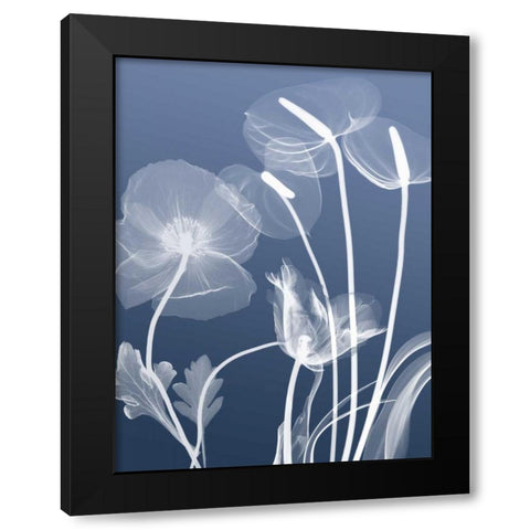 Transparent Flora 6 Black Modern Wood Framed Art Print with Double Matting by Koetsier, Albert