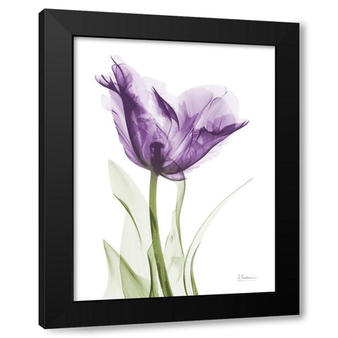 Lavender Trance Black Modern Wood Framed Art Print with Double Matting by Koetsier, Albert